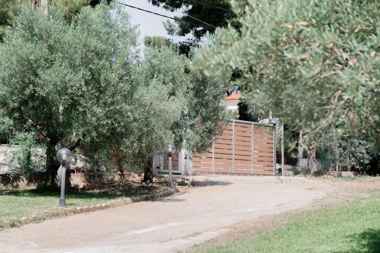 Ferienwohnung Aelia Metamorfosi  Exterior foto